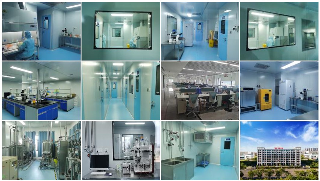 Twelve photographs of ProMab’s GMP facility: cleanrooms, pass-through windows, formulation suites, bioreactor skids, analytical labs and the building exterior.