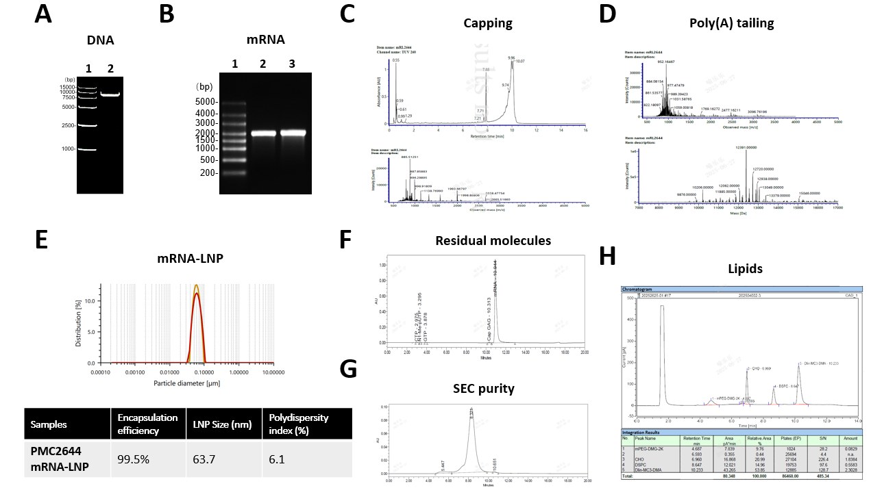 Panels A to H of routine QA data: agarose gels, LC-MS capping and poly(A) traces, DLS distribution with encapsulation table, RP-HPLC, SEC and HPLC-CAD chromatograms.